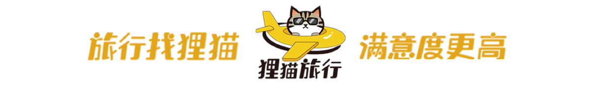 狸猫旅行